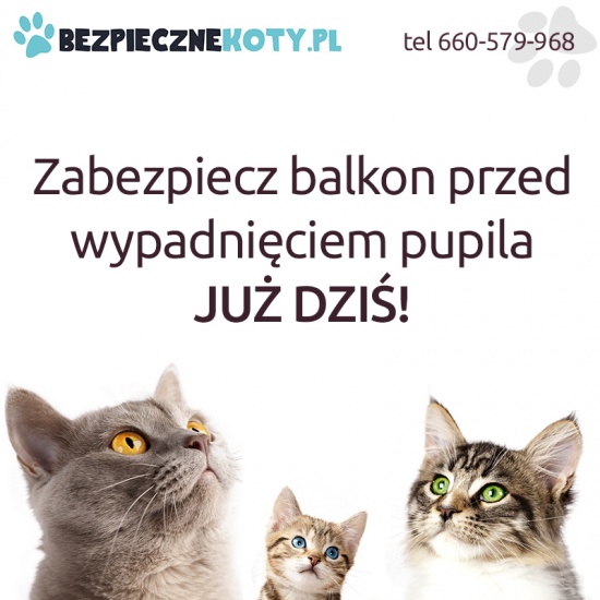 Siatka dla kota, kocia siatka, siatki dla kotów, siatka na balkon